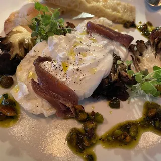 Imported Burrata