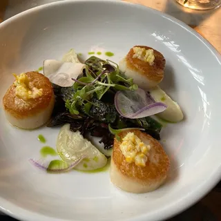 Seared Diver scallops