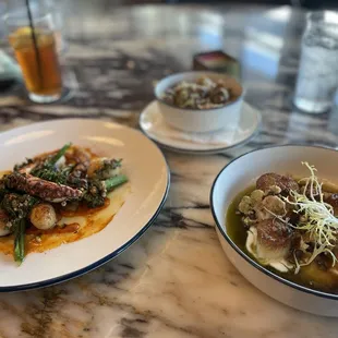 Octopus, mushrooms fricassee, scallops!