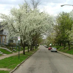 Eventide Properties on West Oakland Avenue - Just two blocks from OSU's campus.