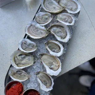 Dozen oysters