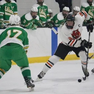 edina hornets