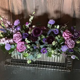 Explosion of purples in this golden cage