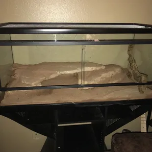 This is Mushus new home!