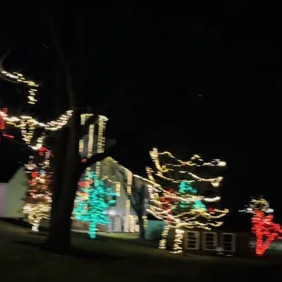 Holiday lights