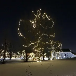 Christmas lights