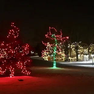Christmas lights