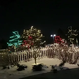 Christmas lights