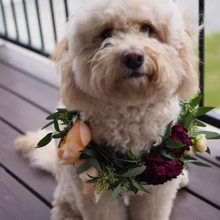5 day old floral crown!! (Kept in fridge)