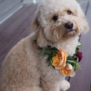 This floral crown is from five days ago been storing in the fridge and it looks amazing still!