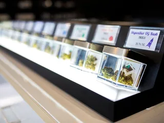 Canvas Organics