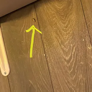 Roaches on the wall inside the restaurant.