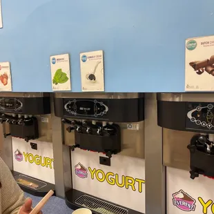 some yogurt options! love this place