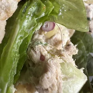 Tuna