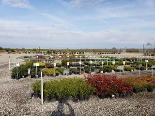 Riverside Nursery and Landscape Supplies