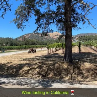 Winery