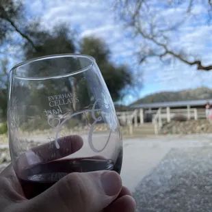 a hand holding a wine glass