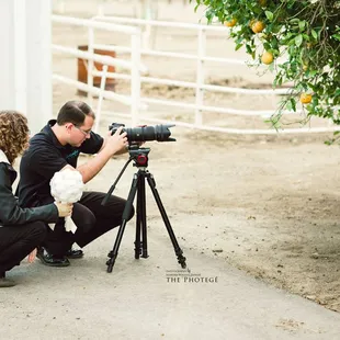 No we're not snipers. Yes, we hang rings on orange trees!