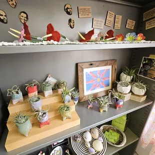 The little air plants!!!