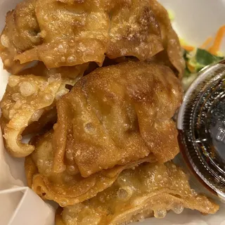 VEGETABLE DUMPLINGS