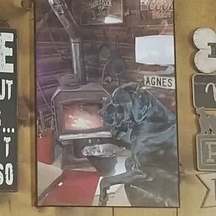 This is a picture of Reagan, the dog that sat next to me.