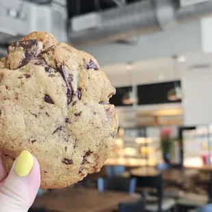 Chocolate Chip Cookie