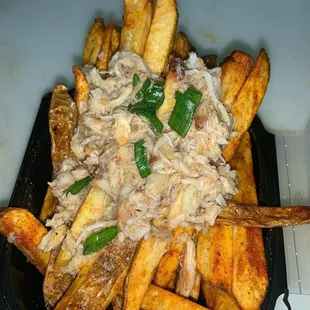 a plate of french fries
