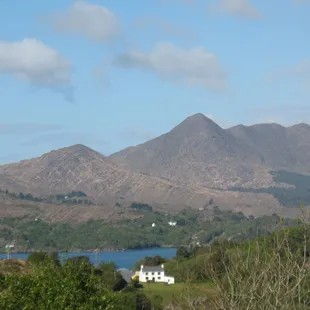 Golden experience, between Bantry and Killarney, Ireland