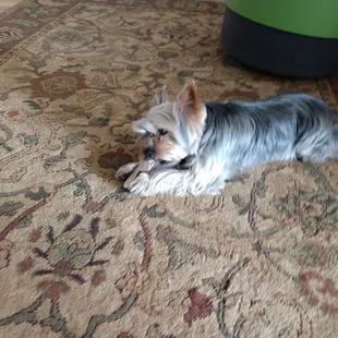 Before his buzz cut.