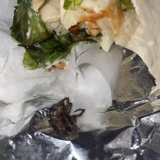 Chicken Caesar Wrap