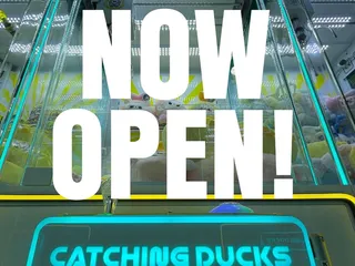 Catching Ducks