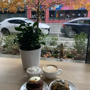 Hot chocolate and Coconut milk latte. Cinnamon roll to the left and blueberry scone to the right.