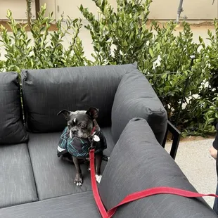 Monty  was very impressed with the size and quality of the new Evolve patios (yes patios)