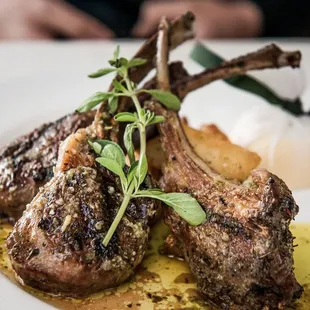 Arnisia Paidakia (grilled lamb chops) $49