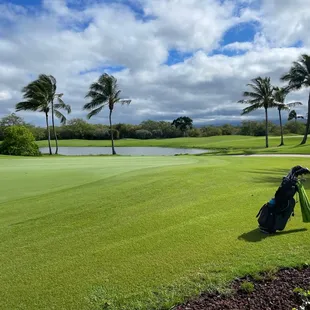 Golf tournament time