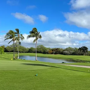 View from the snack bar.
