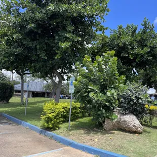 Getting ready for the tournament.