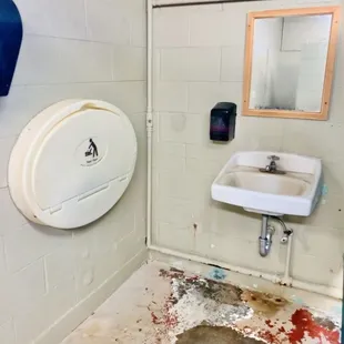 Sink and tiny changing table