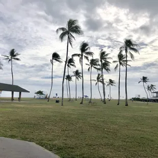 10/28/2018