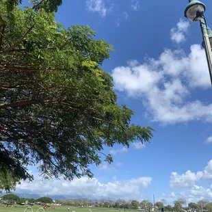 Cool drones flying through those loops