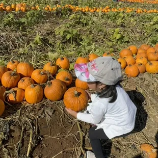 Amazing every parent in the little school showed up for this excursion. We plan the events 1 year in advance &amp; yes parents make it!