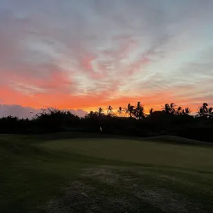 17 green
