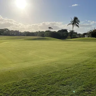 9 green