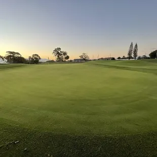 #3 green is always green