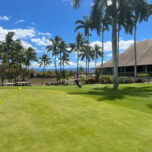 Practice Green by Starter