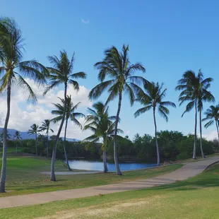 Hole 7 (from 8th Tee)