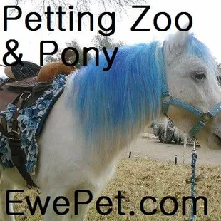 EwePet Mobile Petting Zoo & Pony Ride Parties