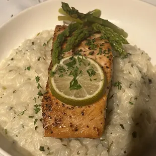 Salmon Risotto