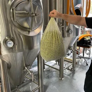 Dry-hopping Moat Juice!