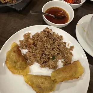 Fried Chicken Dumpling